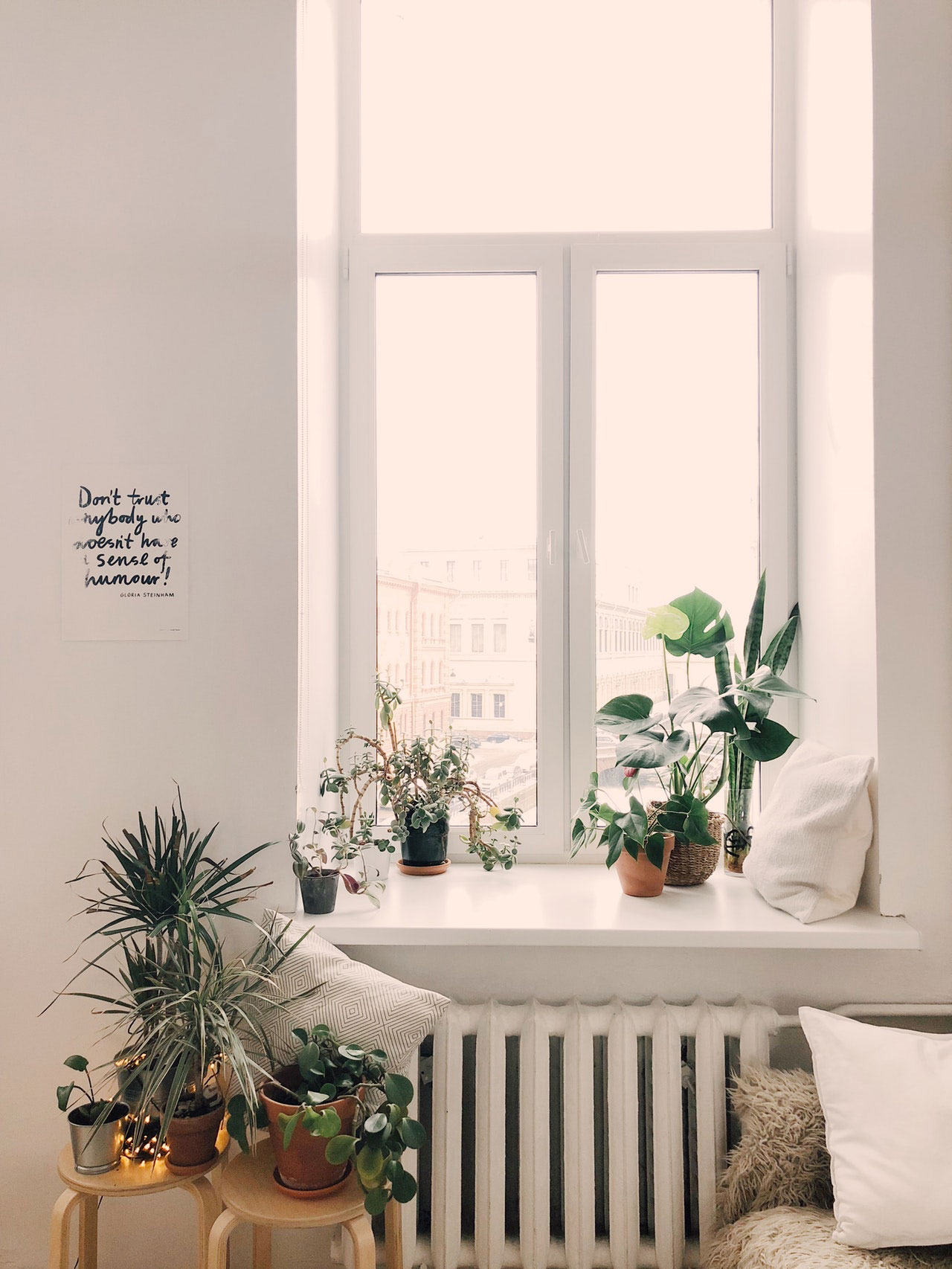 A photo with plant in contact us