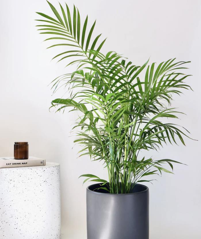product image in checkout
