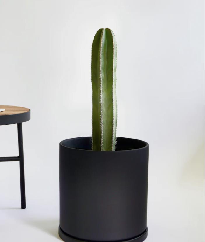 product image in checkout